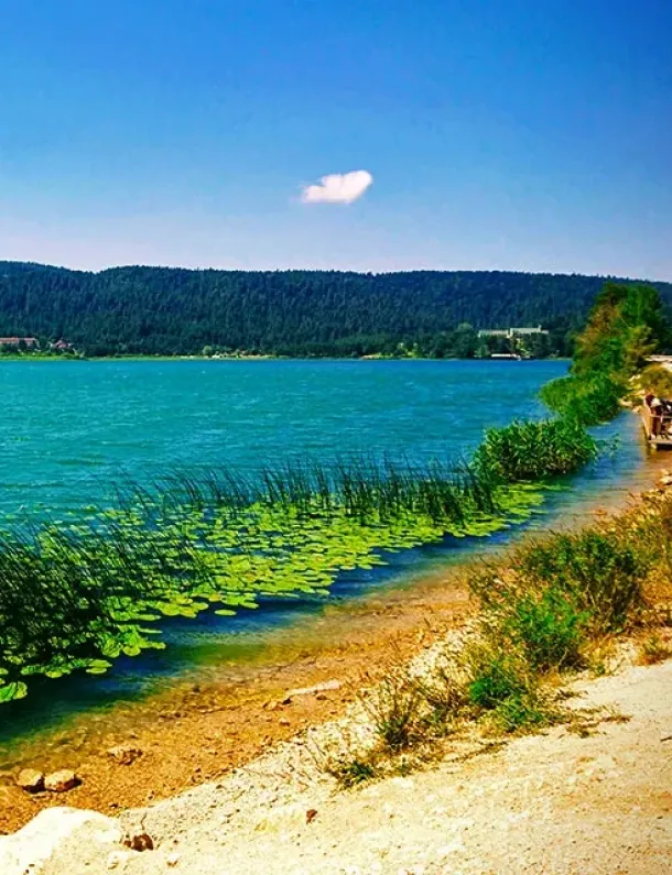 Ilustrasi Berjalan Di Sekitar Danau