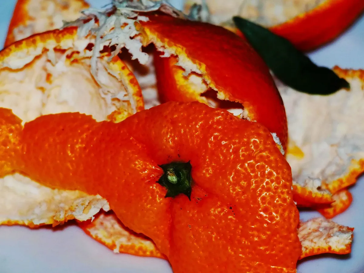 Ilustrasi Ampas Kulit Jeruk