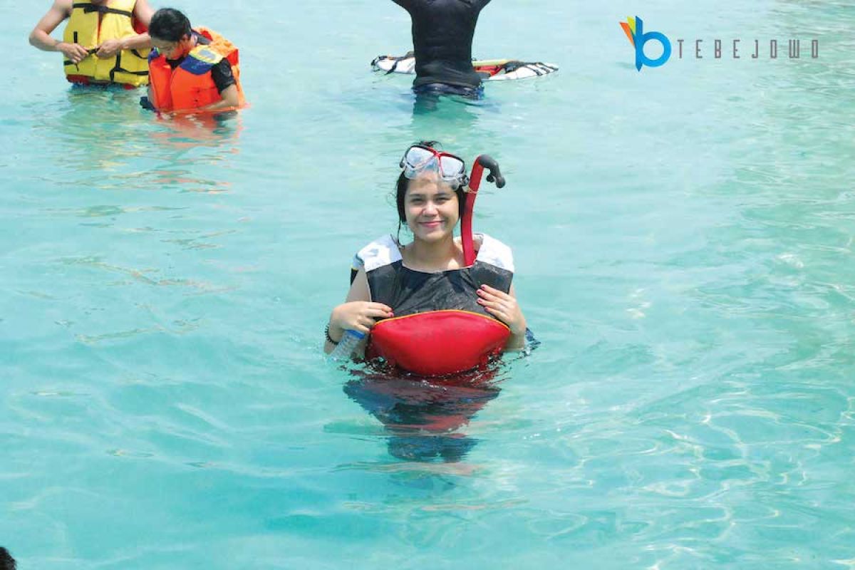 Ilustrasi Kegiatan Wisata Di Pulau Bintang