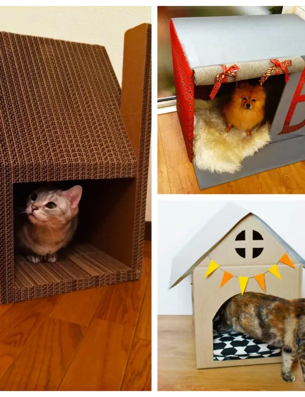 Ilustrasi Rumah Kardus