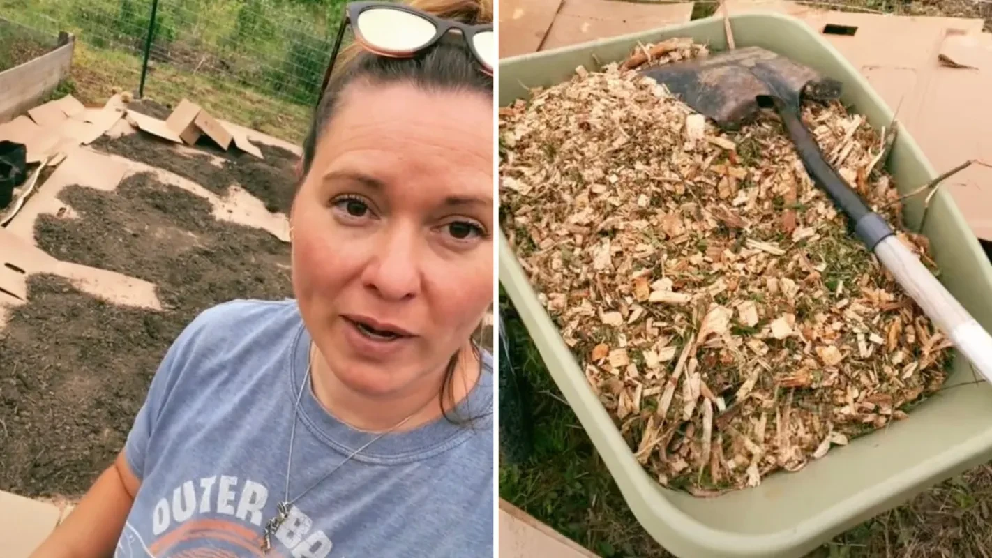 no dig garden image