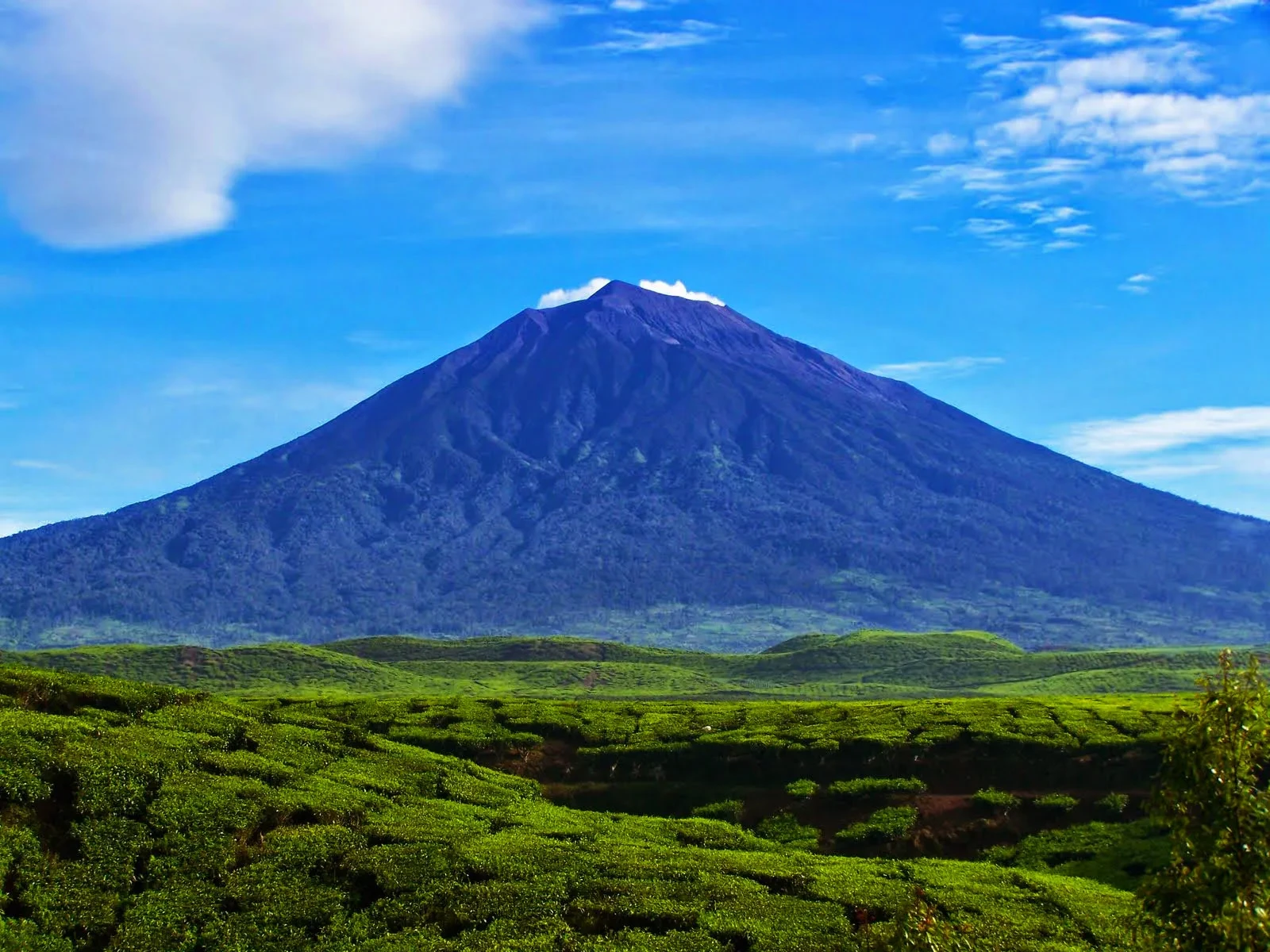 06 Gunung Kerinci