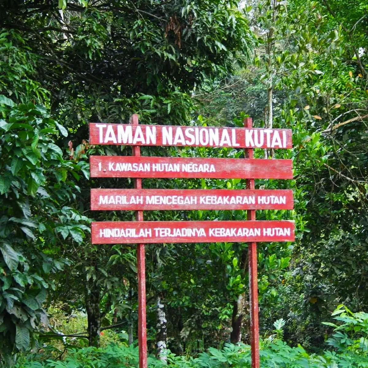 04 Taman Nasional Kutai