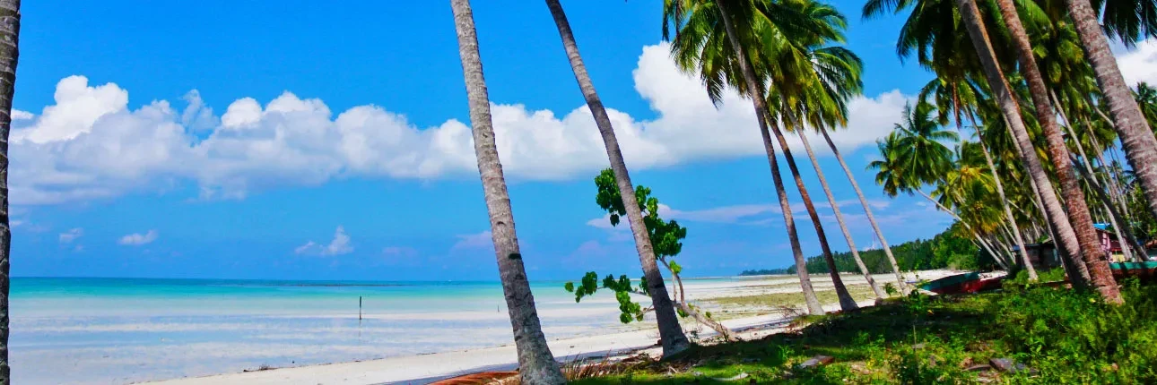 10 Pantai Biduk Biduk