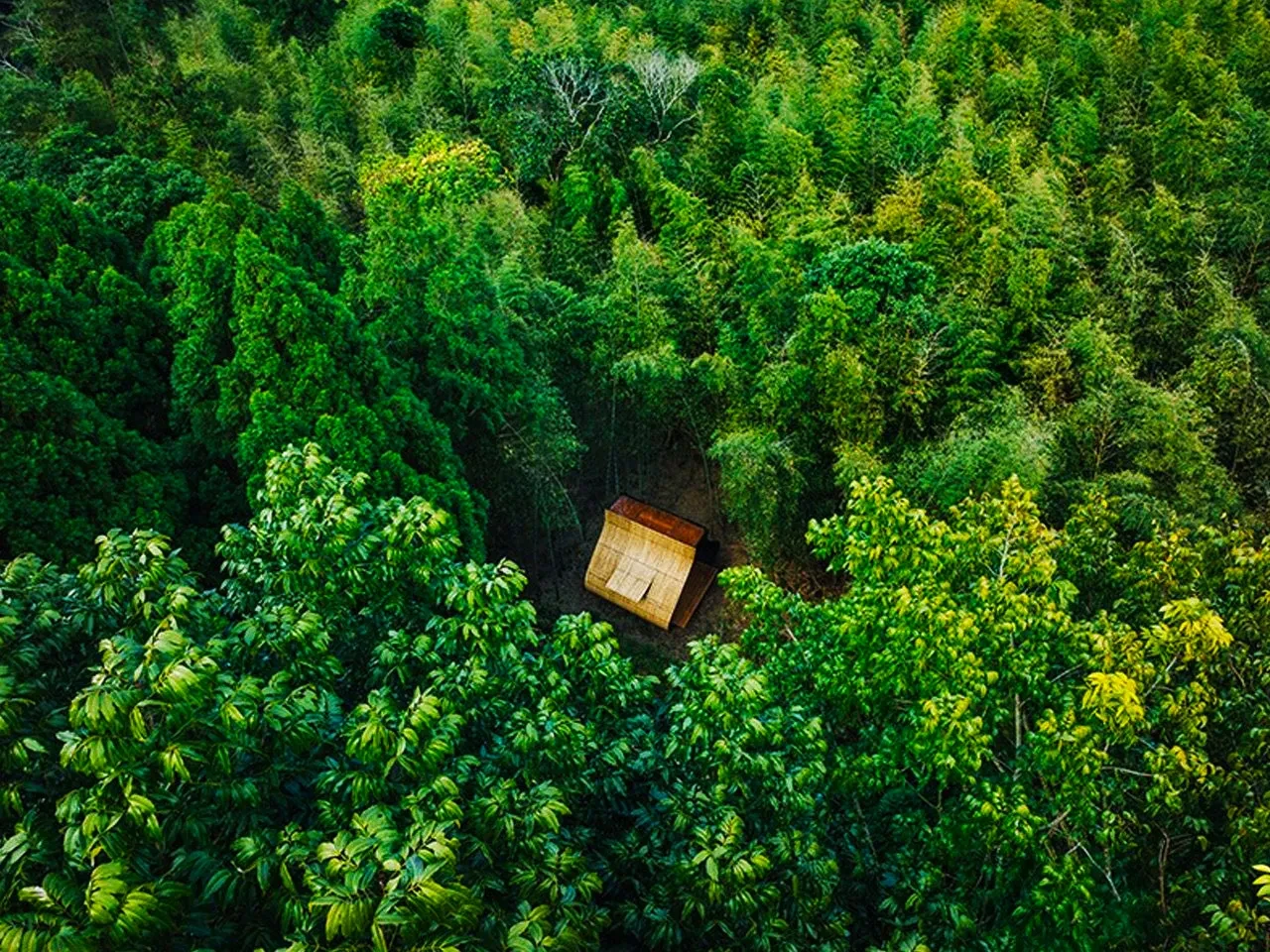 08 rice dumpling cabin yanko design
