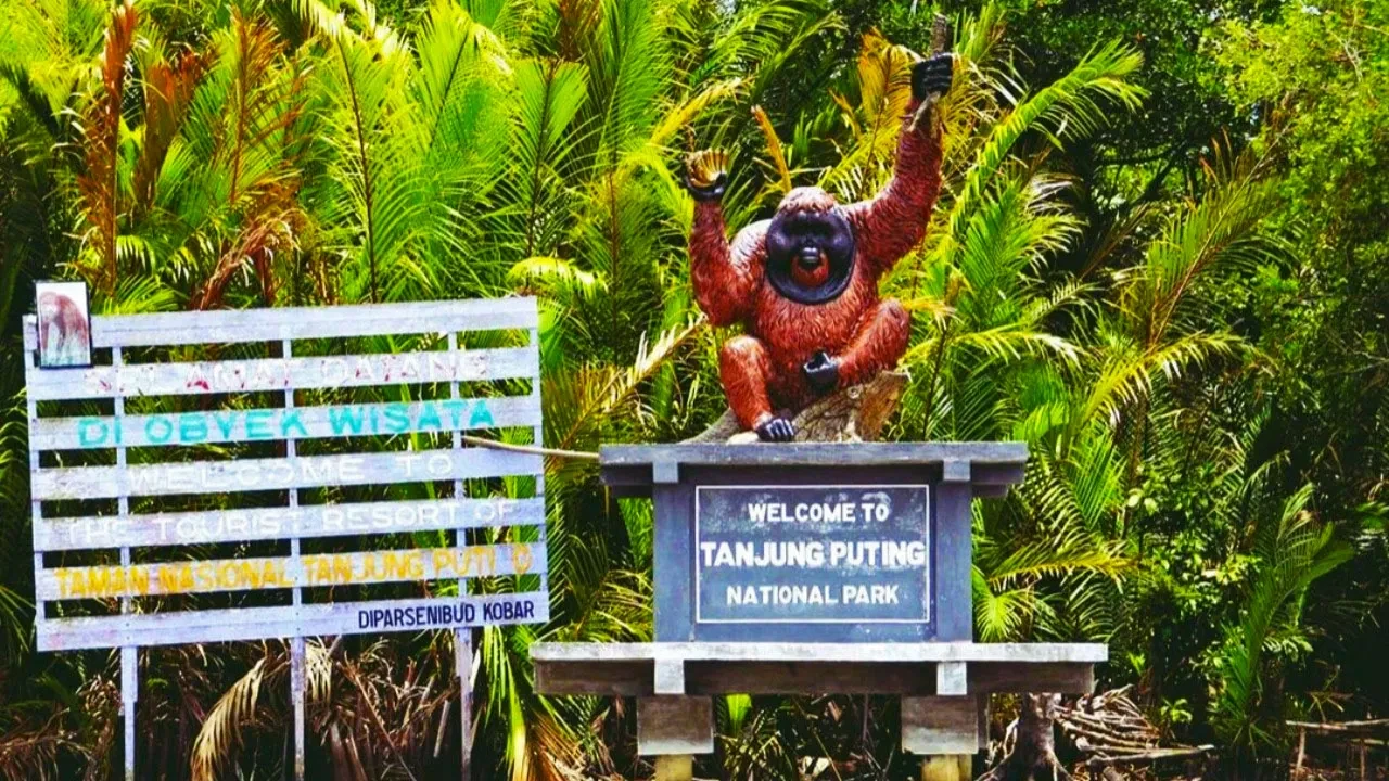 06 Taman Nasional Tanjung Puting