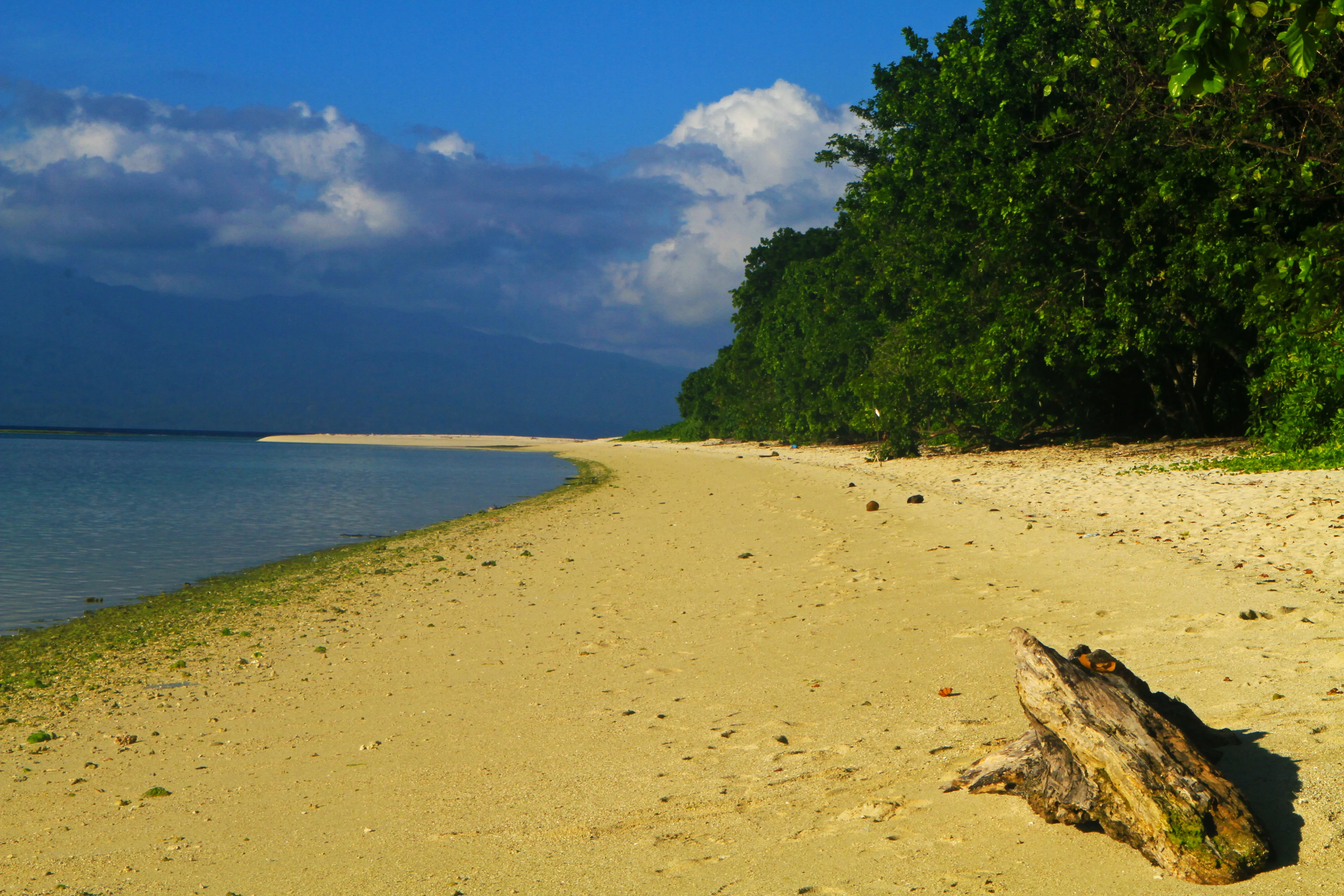 05 Pulau Pombo Maluku