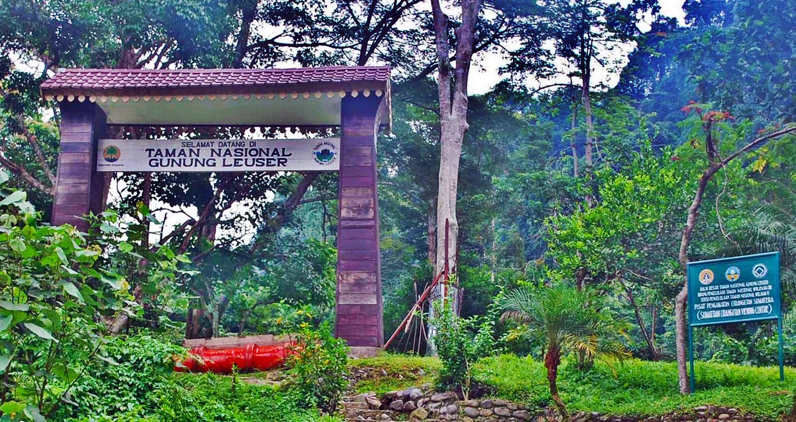 05 Taman Nasional Gunung Leuser