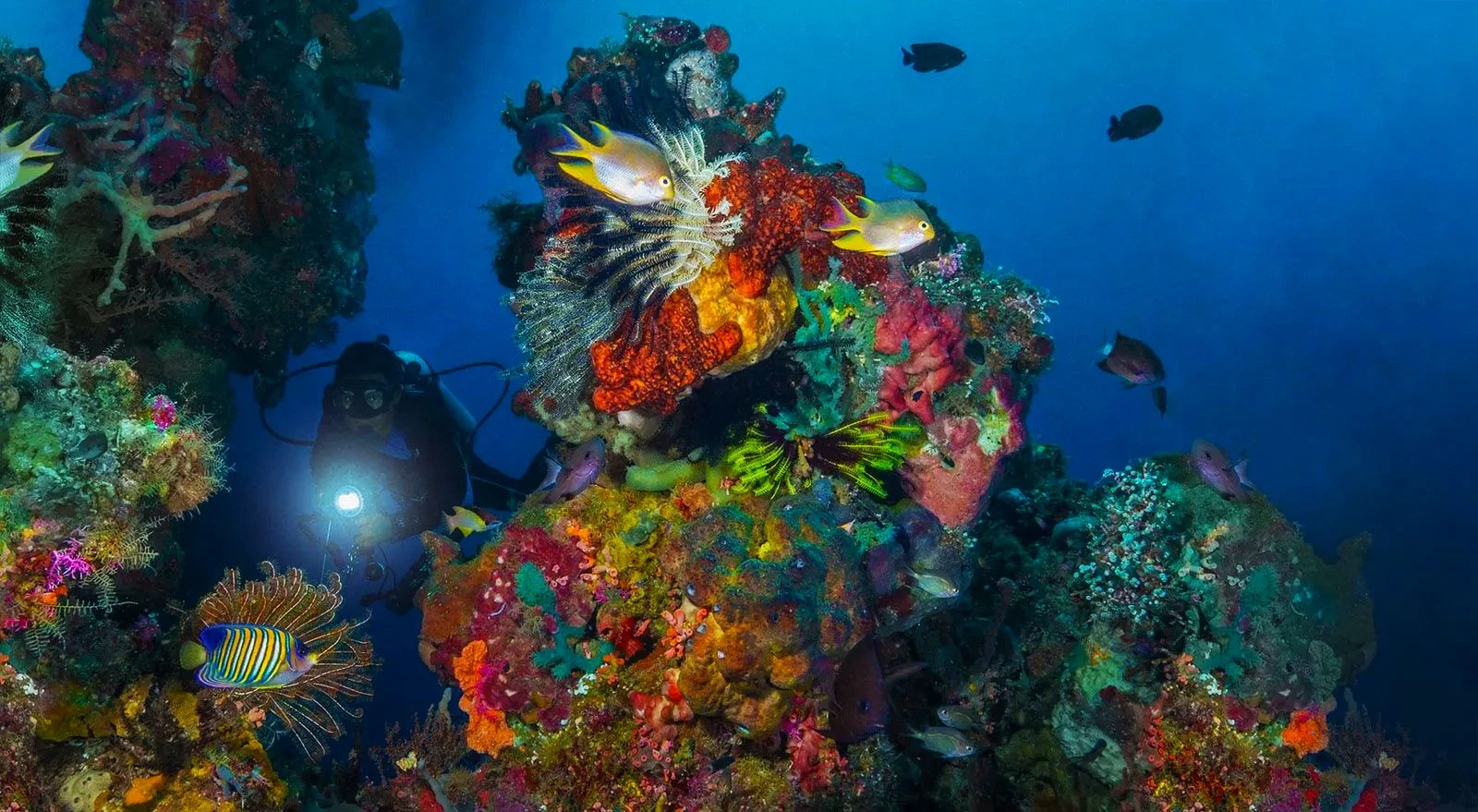 08 Taman Nasional Bunaken