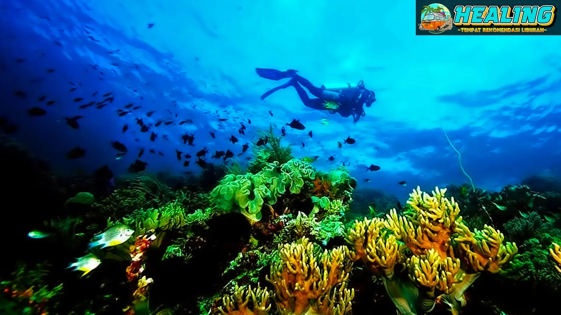 09 Taman Nasional Wakatobi