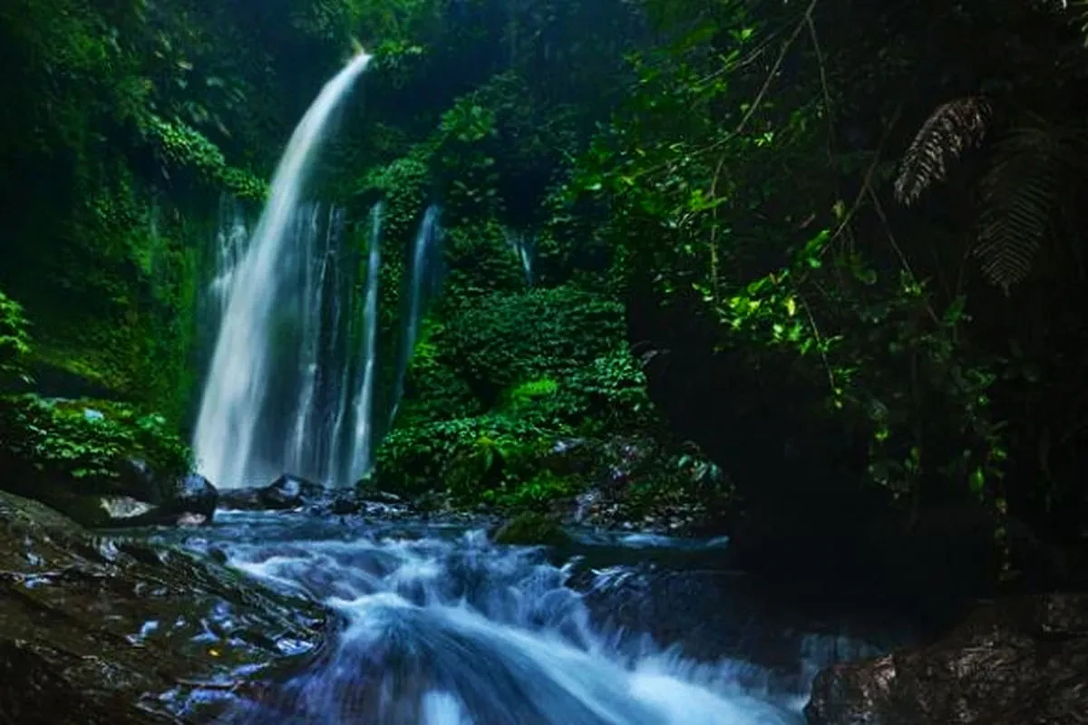 05 Senaru tiu kelepp