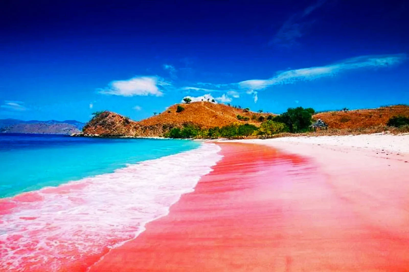 06 Pasir merah muda Pantai Pink Lombok Timur NTB