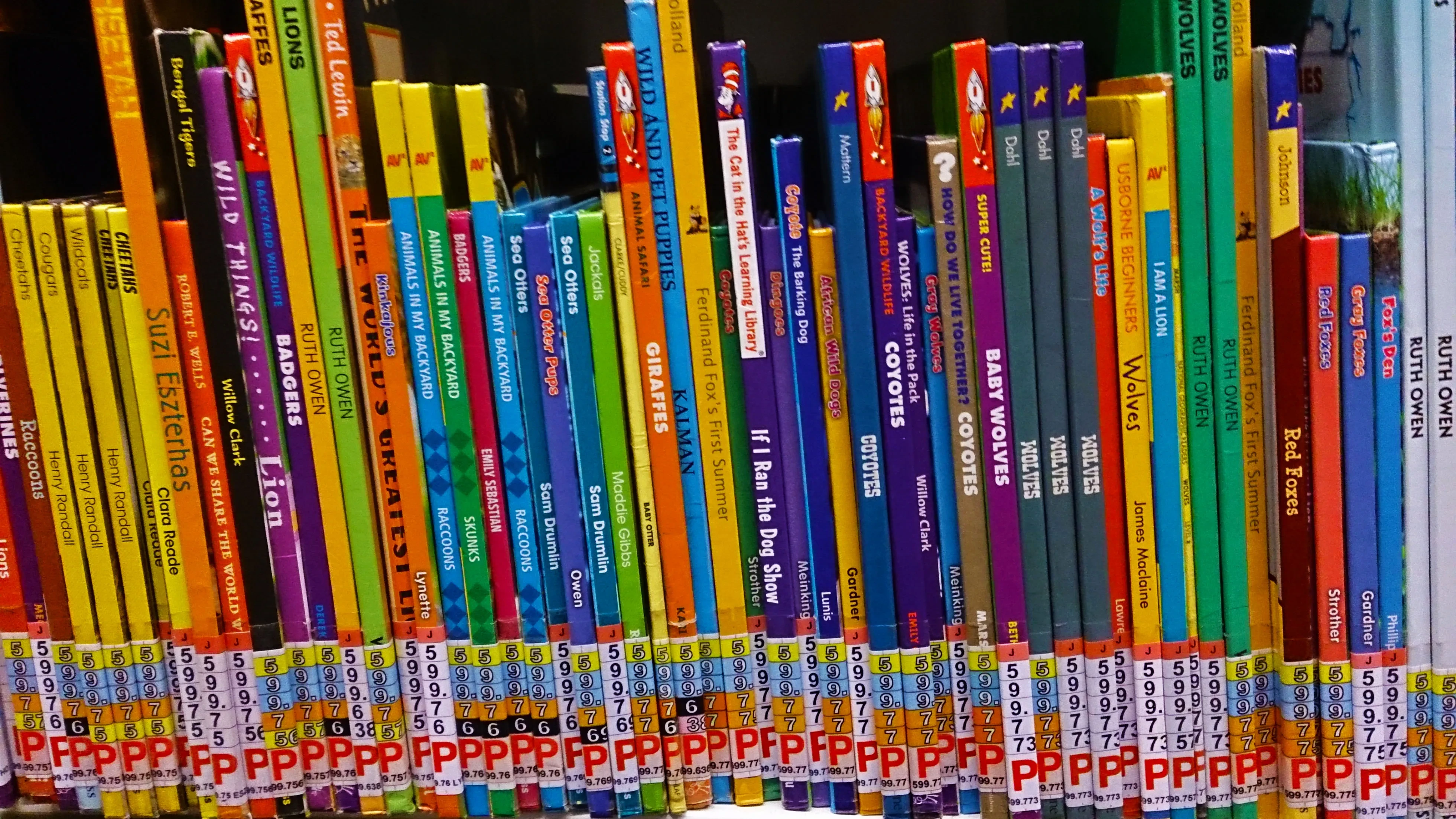 Rak berisi buku anak berwarna-warni untuk sesi read-aloud