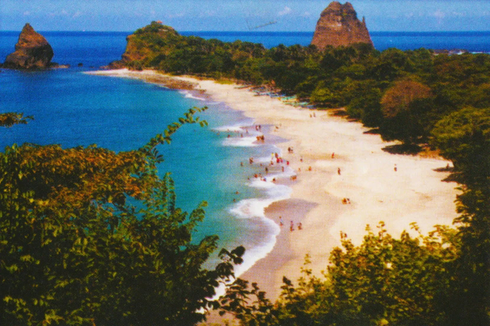 06 pantai papuma alamat terbaru 2014