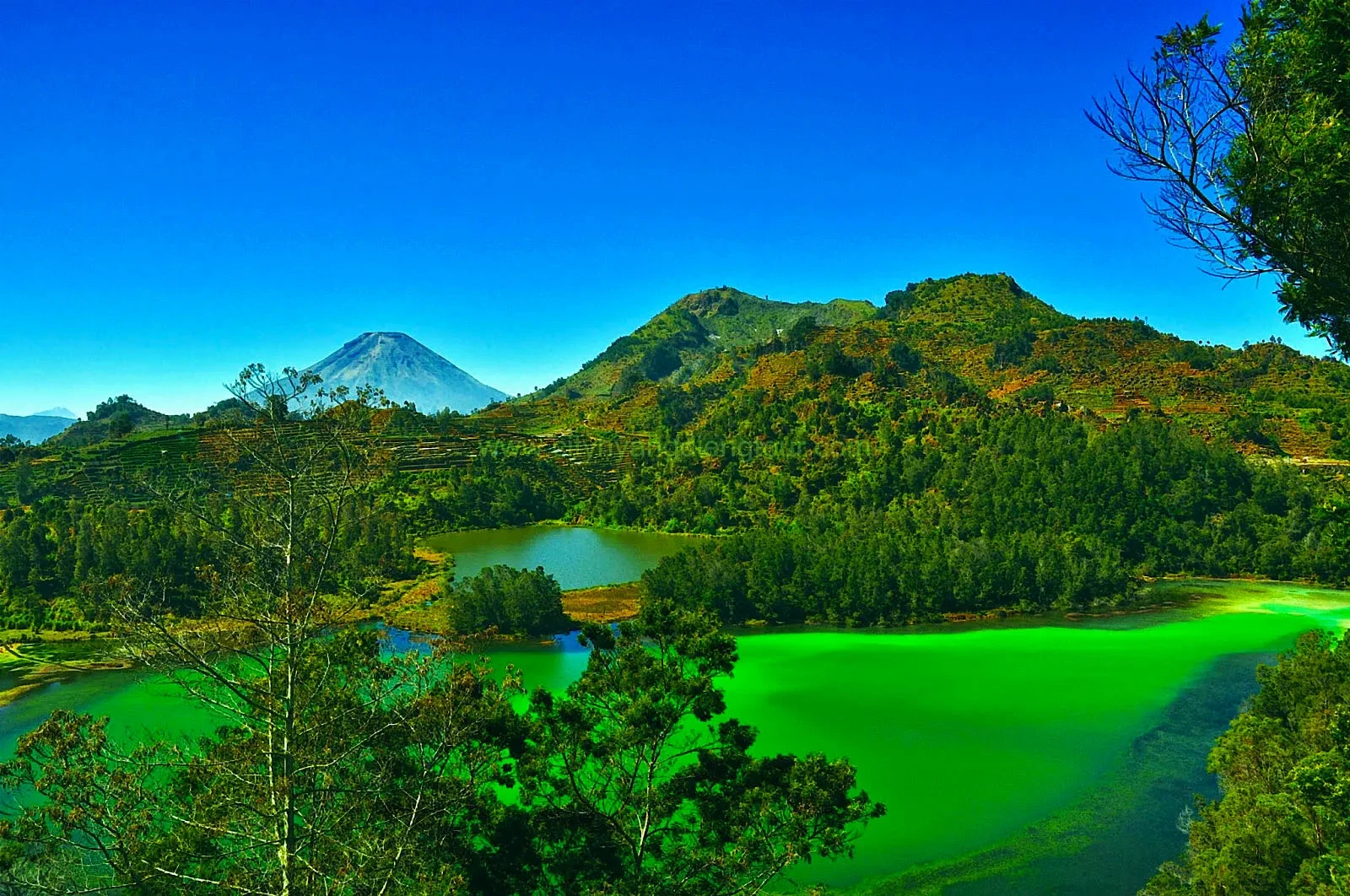 01 Dataran Tinggi Dieng