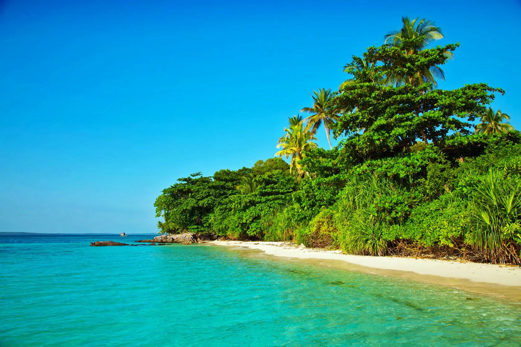 02 Karimun Jawa 10989163 ML 1