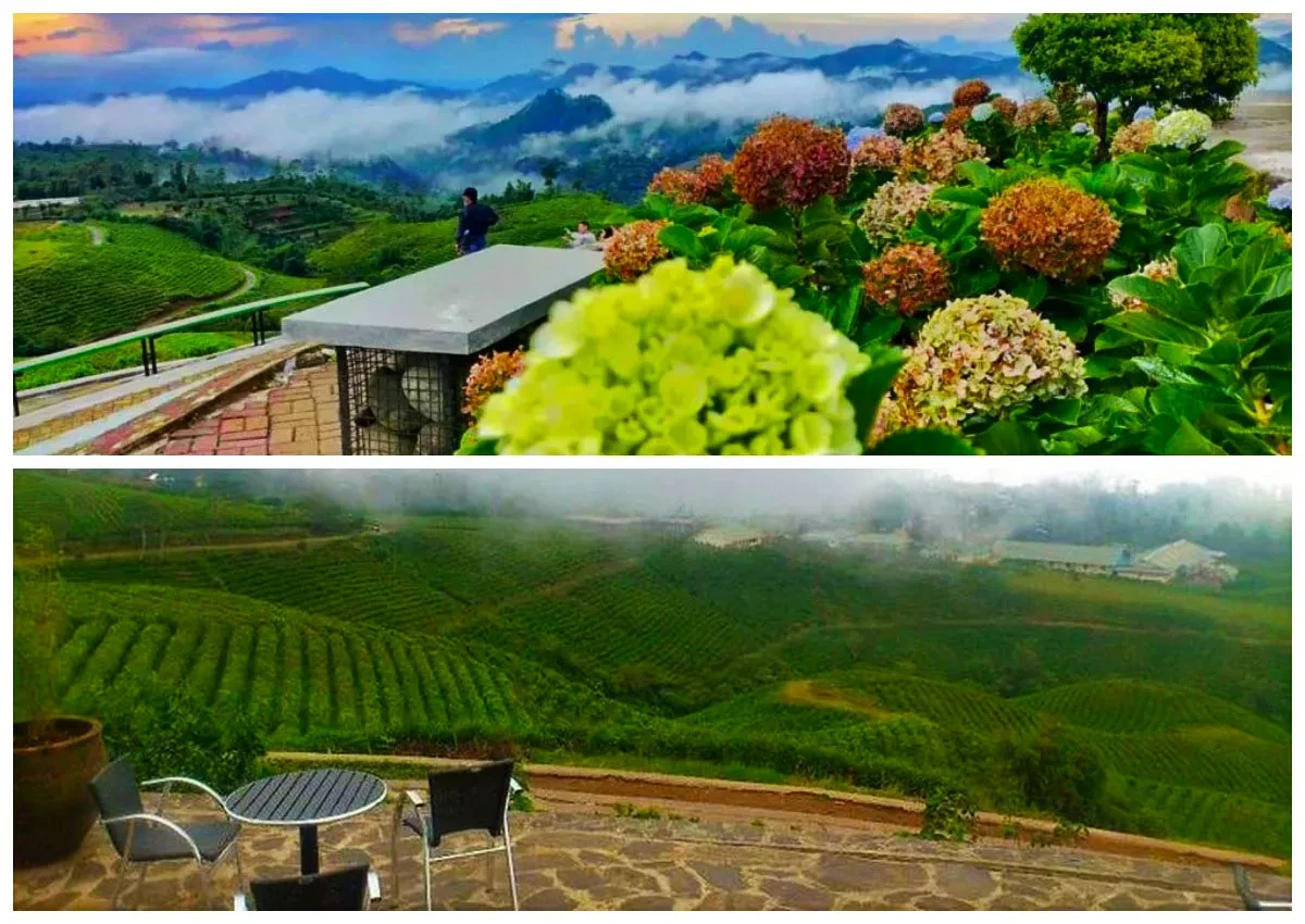 06 malino gowa sulawesi selatan