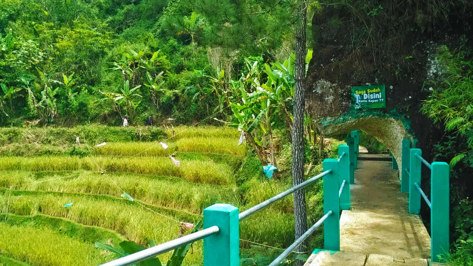 02 jalur trekking menuju air terjun sunggah