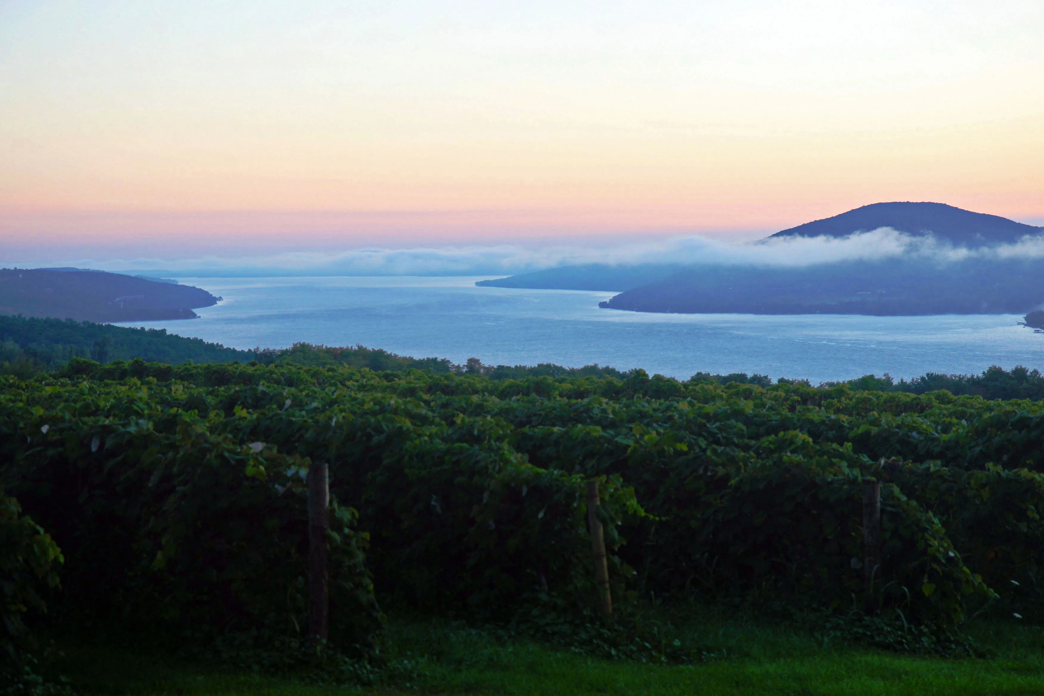 Matahari terbit di atas kebun anggur dan danau