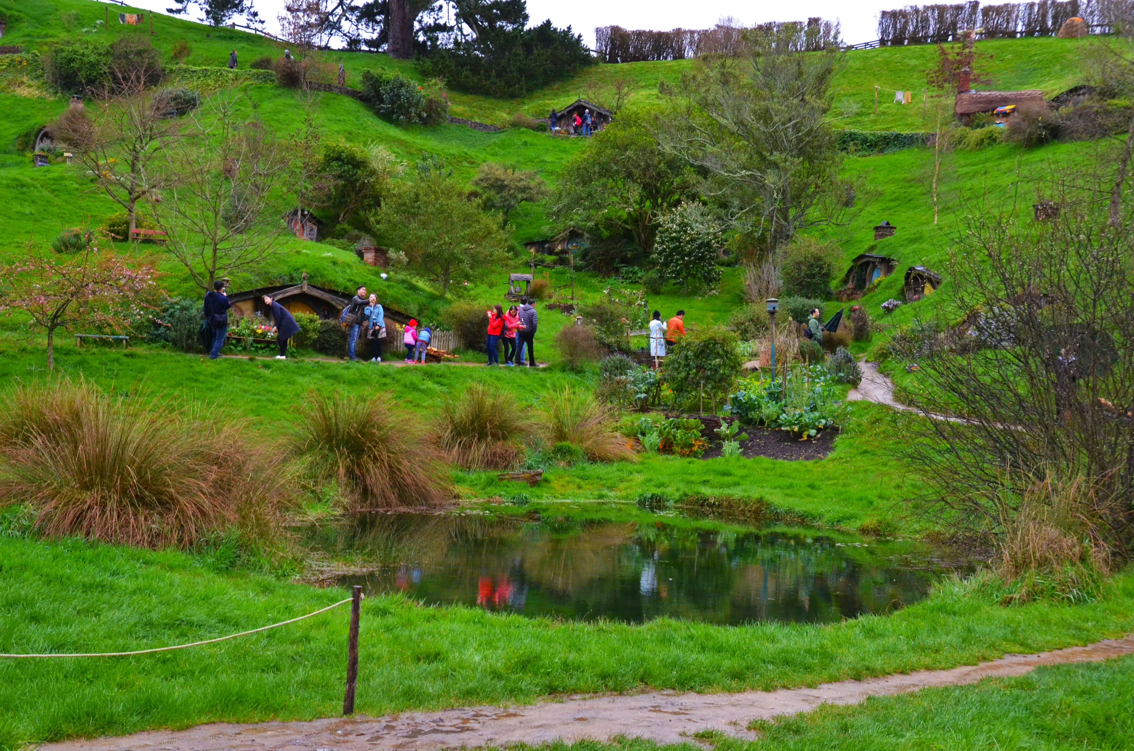 Pemandangan desa Hobbiton dengan rumah hobbit di perbukitan hijau