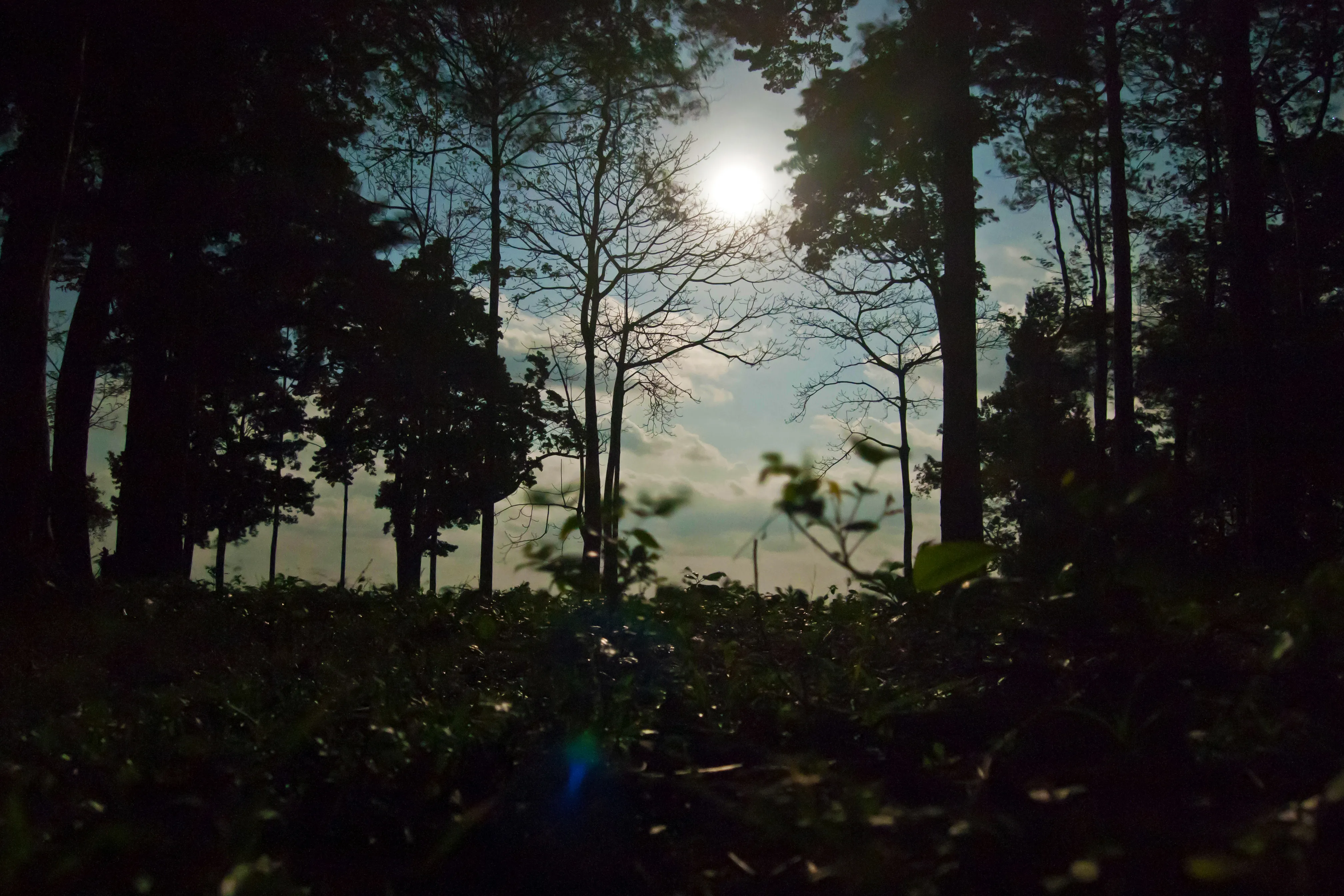 Pantai tropis diterangi cahaya bulan purnama