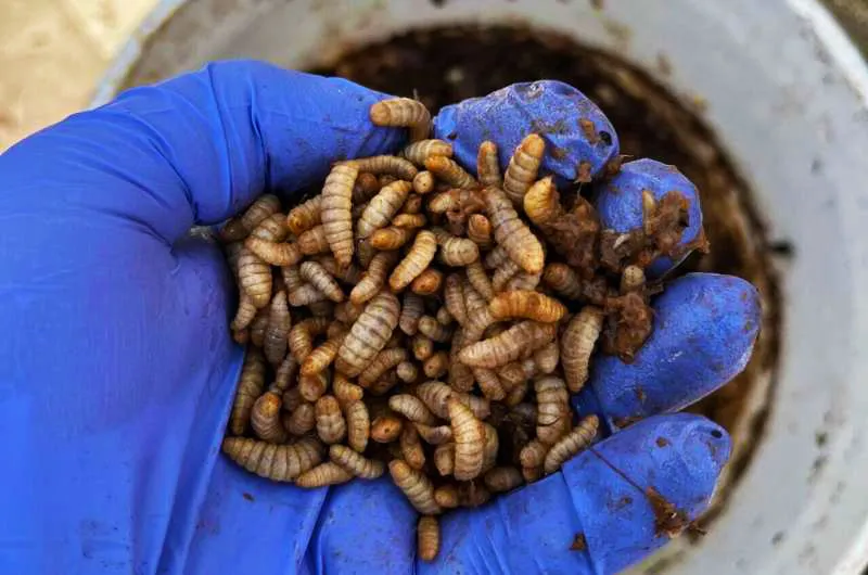 a diy fly powered fix 2