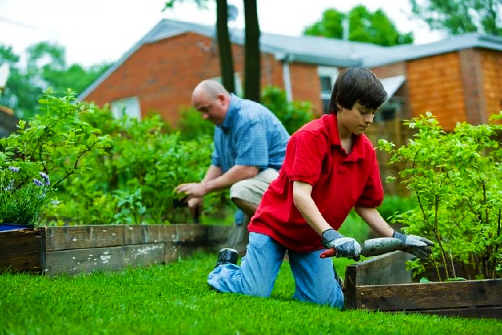 pria berkebun bersama putranya