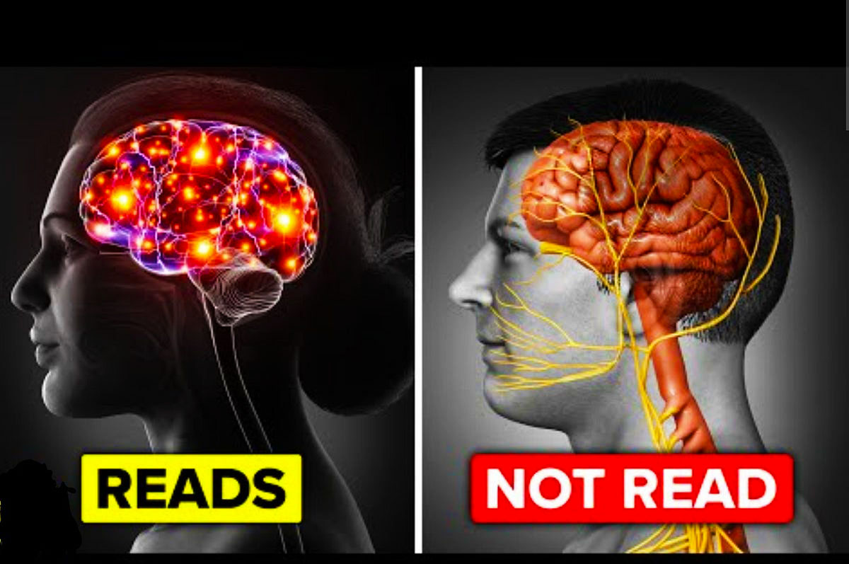 reading effect to brain