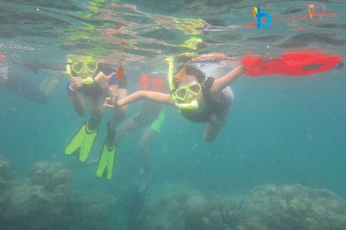 snorkeling pulau harapan