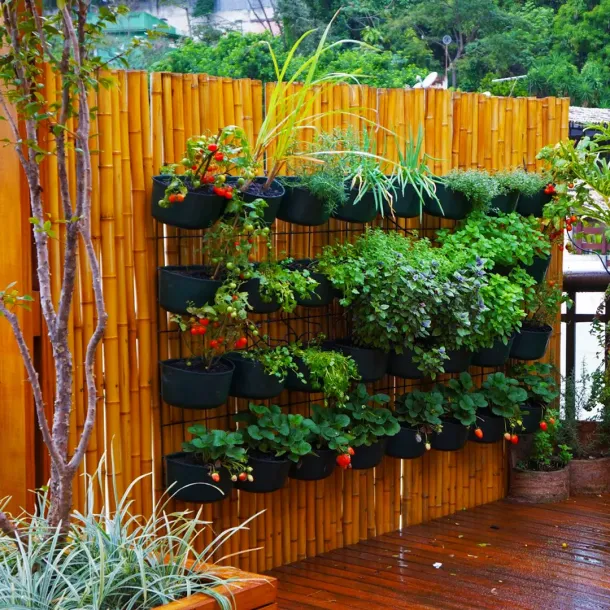 Ilustrasi Berkebun Di Rumah