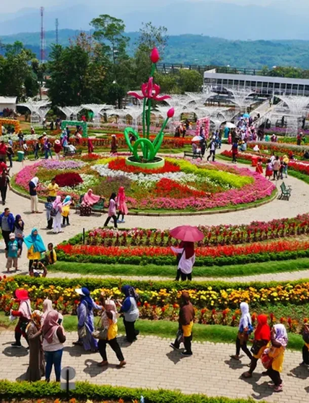 Taman Bunga Celosia, Semarang, Jawa Tengah