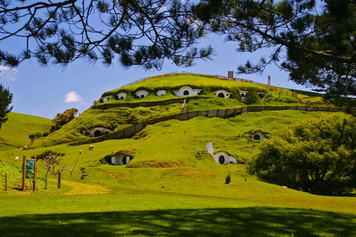 Pemandangan perbukitan Hobbiton lokasi syuting Lord of the Rings