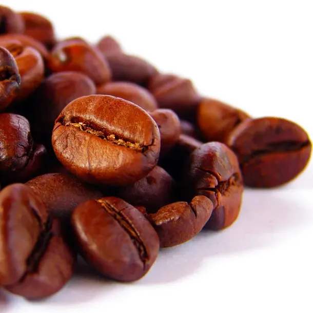 Ilustrasi Biji kopi