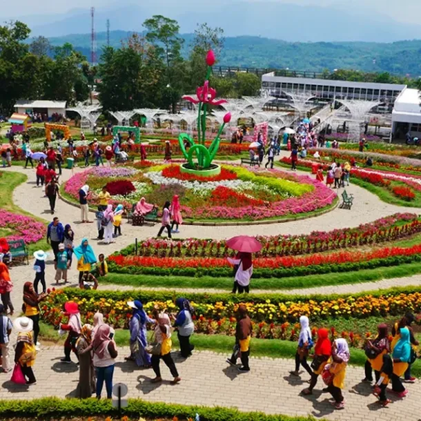 Taman Bunga Celosia, Semarang, Jawa Tengah