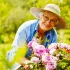 Lansia sedang berkebun yang sehat dan aktif mencegah demensia