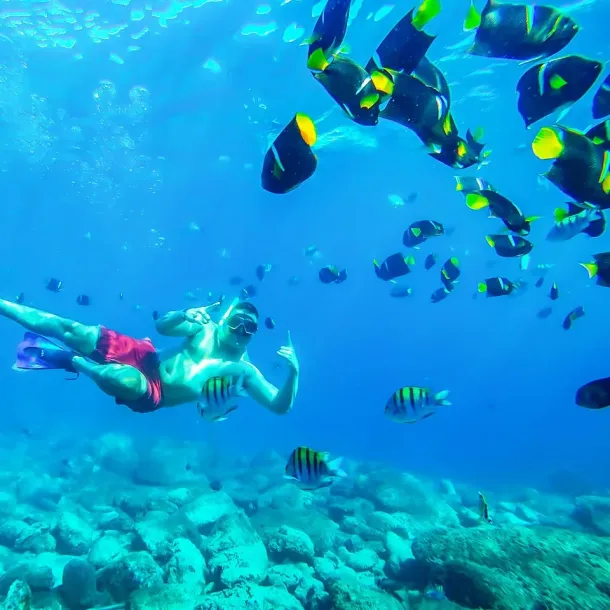 Ilustrasi Wisata Bahari Di Bunaken