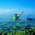 Ilustrasi Olahraga Snorkeling