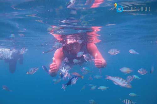 Ilustrasi Tour Wisata Di Pulau Pramuka, Kepulauan Seribu, DKI Jakarta