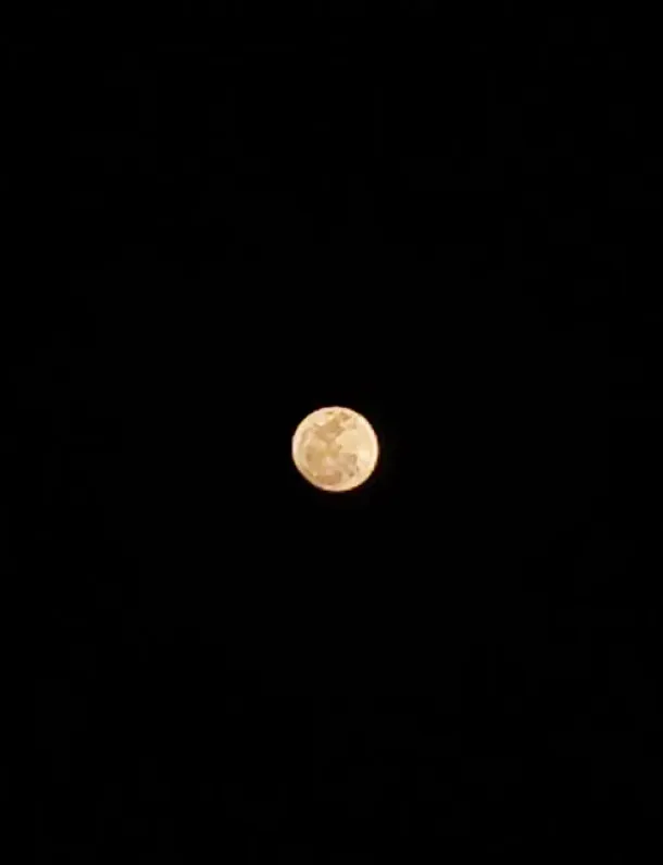 Bulan purnama terang di langit malam Bali
