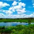 Ilustrasi Taman Nasional Wasur Rawa