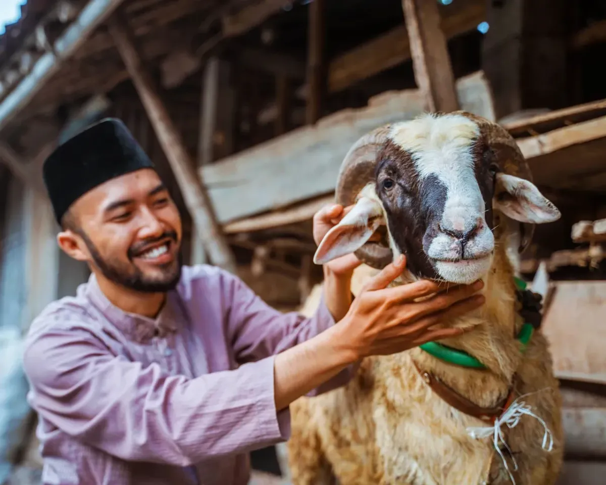 Ilutrasi Kambing Kurban