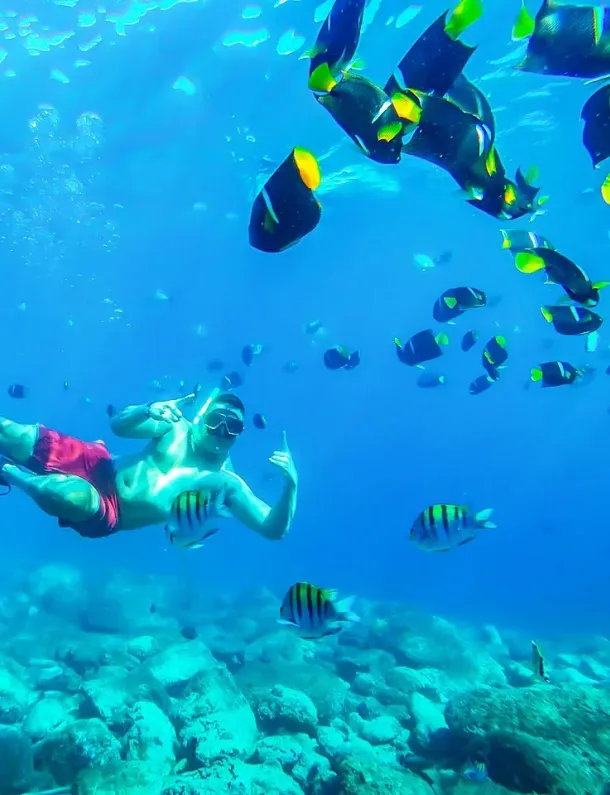 Ilustrasi Wisata Bahari Di Bunaken