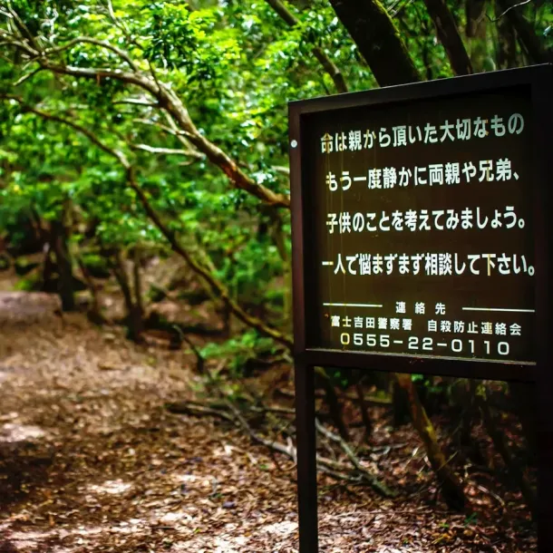 Ilustrasi Hutan Bunuh Diri Di Jepang