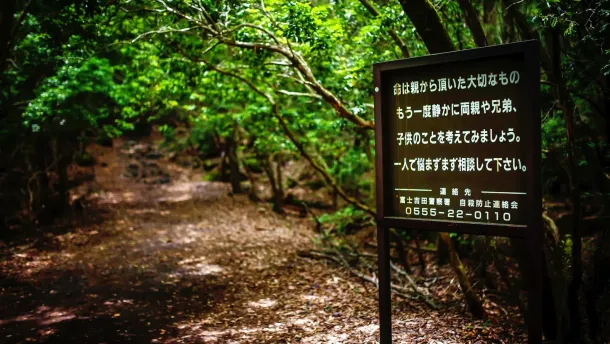 Ilustrasi Hutan Bunuh Diri Di Jepang