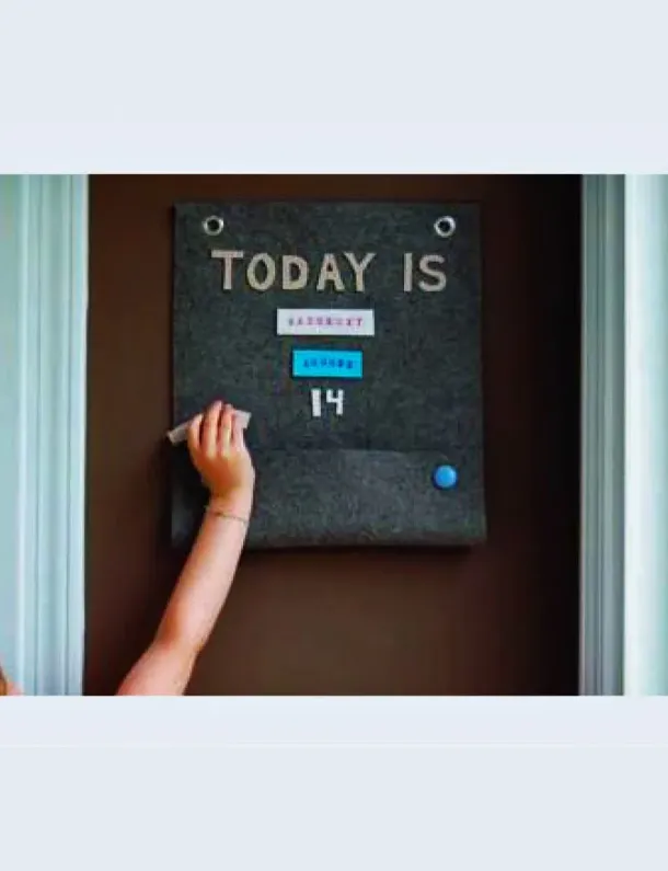 Ilustrasi Daily Docket