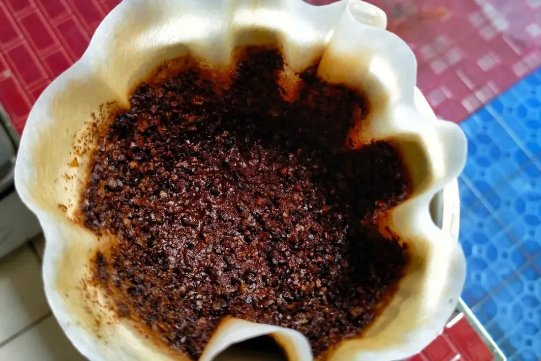 Ilustrasi Bubuk Kopi