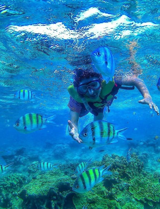 Amazing Keindahan Bawah Laut Pulau Tidung Kepulauan Seribu