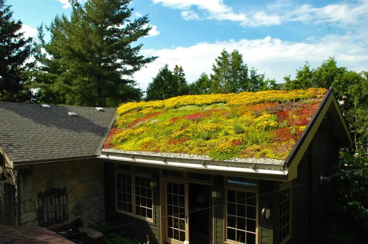 Ilustrasi Atap Hijau