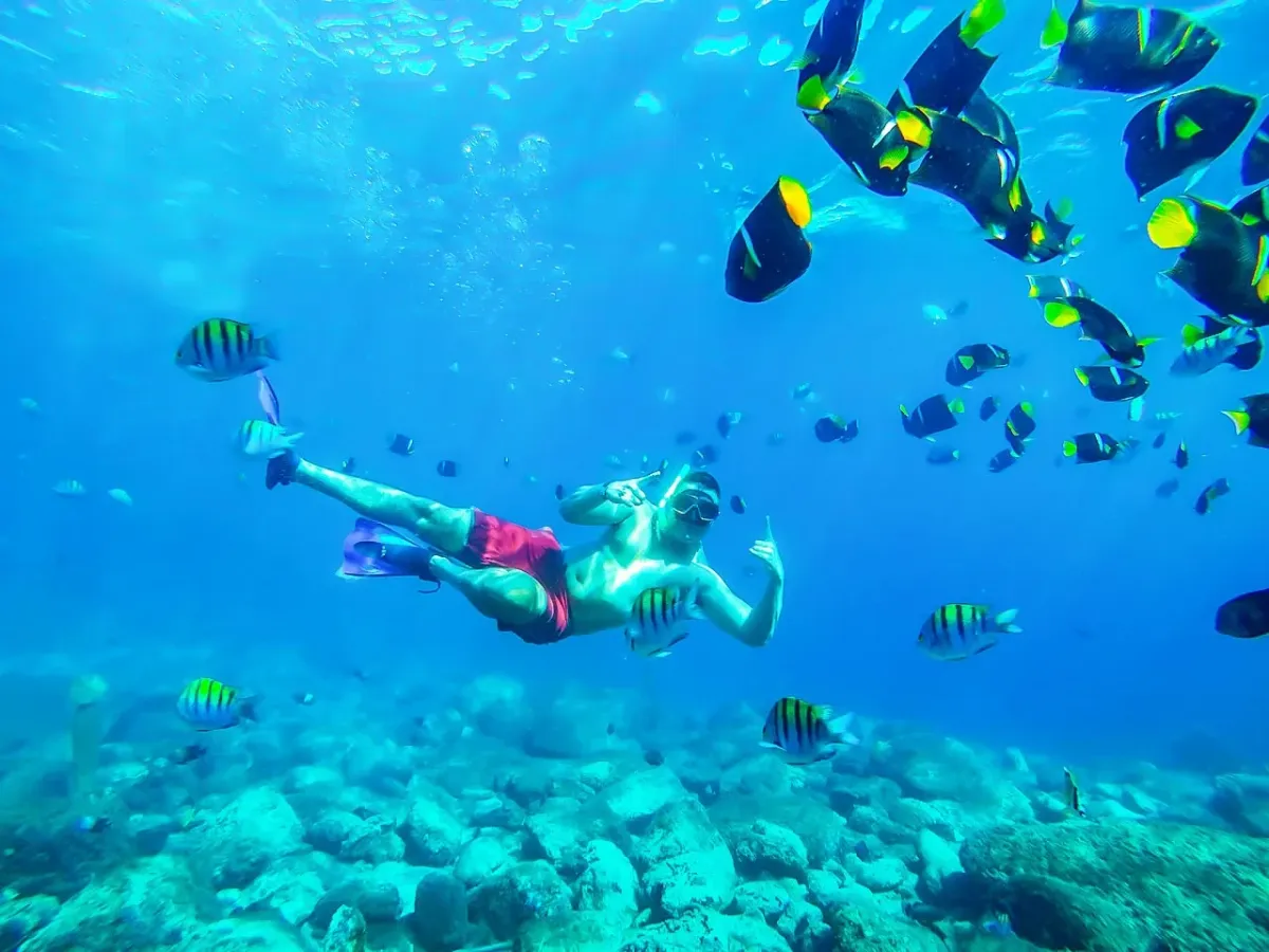 Ilustrasi Wisata Bahari Di Bunaken