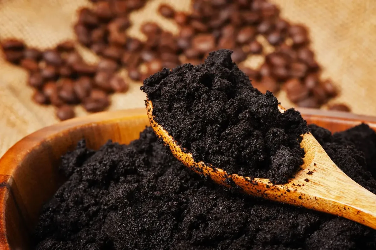 Ilustrasi Ampas Kopi